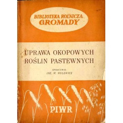 Uprawa okopowych roślin pastewnych