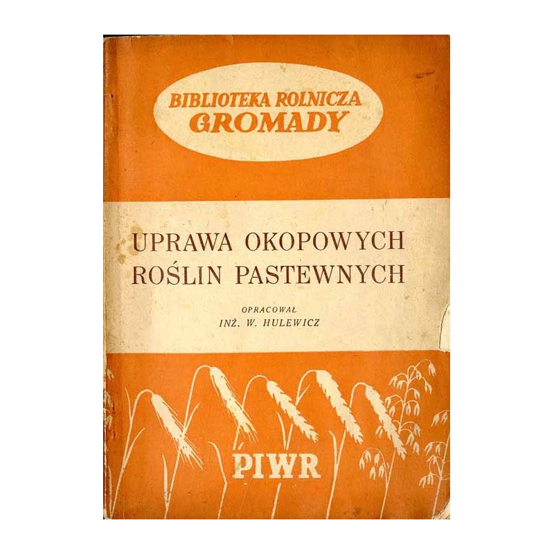 Uprawa okopowych roślin pastewnych