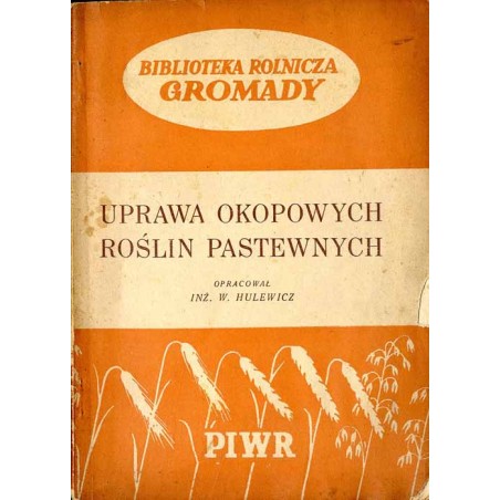 Uprawa okopowych roślin pastewnych