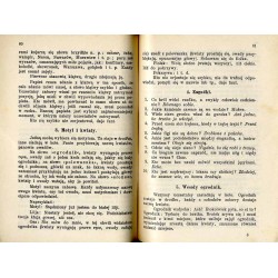 Dzwoneczki. Kalendarz na rok 1925. (Dzwoneczki. Kalendarz dla pań)