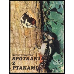 Spotkania z ptakami