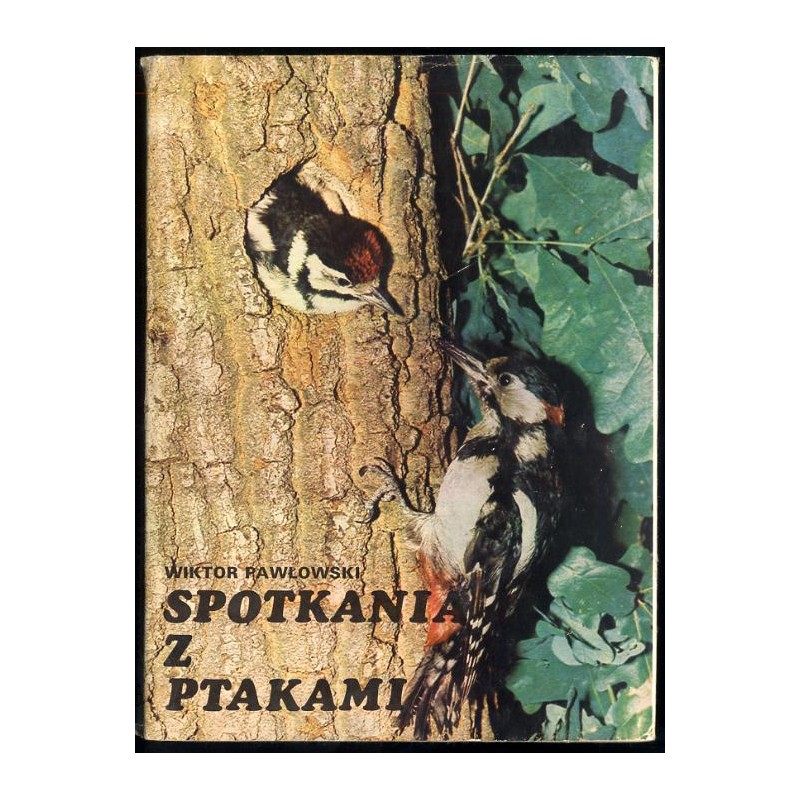 Spotkania z ptakami