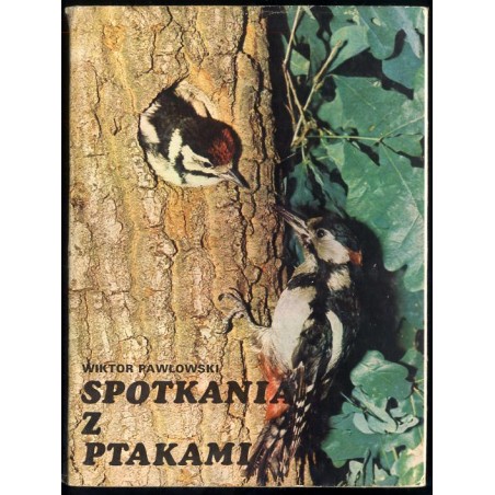 Spotkania z ptakami