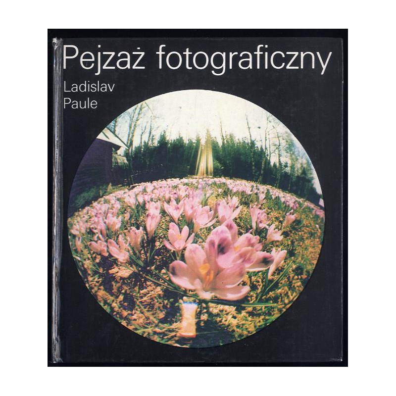 Pejzaż fotograficzny