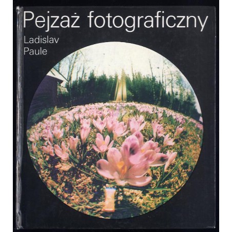 Pejzaż fotograficzny