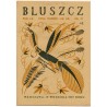 Bluszcz. Społeczno-literacki ilustrowany tygodnik kobiecy. R.60 (1927). Nr 37 (10 września 1927)