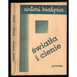 Światła i cienie. Powieść