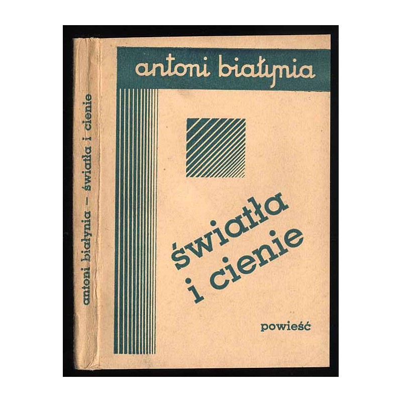 Światła i cienie. Powieść