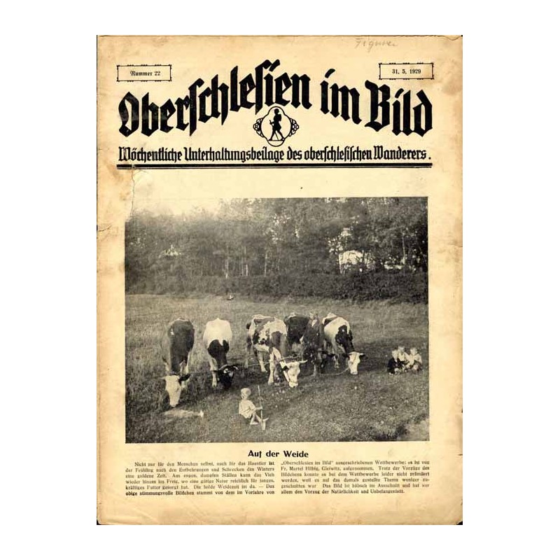 Oberschlesien im Bild. Wöchentliche Unterhaltungsbeilage des oberschlesischen Wanderers. (1929). Nr 22 (31.5.1929) / Racibórz /
