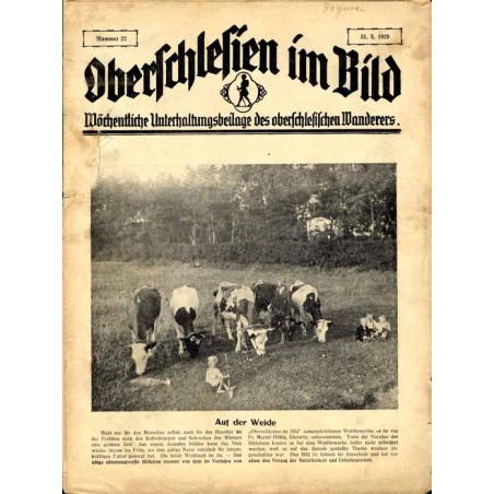 Oberschlesien im Bild. Wöchentliche Unterhaltungsbeilage des oberschlesischen Wanderers. (1929). Nr 22 (31.5.1929) / Racibórz /