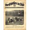 Oberschlesien im Bild. Wöchentliche Unterhaltungsbeilage des oberschlesischen Wanderers. (1929). Nr 22 (31.5.1929) / Racibórz /