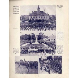 Świat. Pismo tygodniowe ilustrowane. R.26 (1931). Nr 29 (18 lipca 1931)