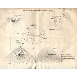 Centralblatt für die gesammte Landeskultur. 5. Jahrgang (1854). Nr 1-52
