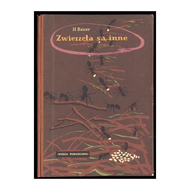 Zwierzęta są inne
