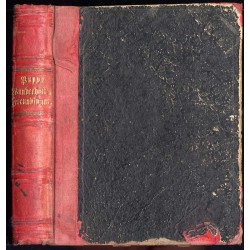 Puppe Wunderhold's Freundinnen