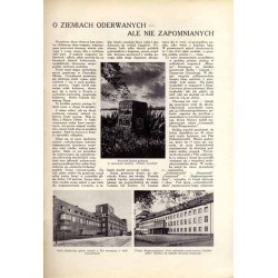 Tęcza. Ilustrowane pismo tygodniowe. R.4 (1930). Z. 41 (11 października 1930) / Antonina Niemczewska / Piła i powiat / Poznań Zo