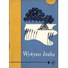Wyżyna Ińska