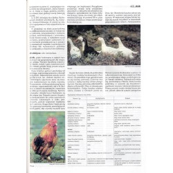 Britannica. Edycja polska. T.9: De-Du
