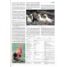 Britannica. Edycja polska. T.9: De-Du