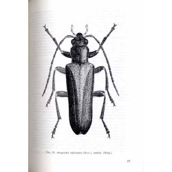 Klucze do oznaczania owadów Polski. Cz.19: Chrząszcze - Coleoptera. Z.85: Zalęszczycowate-Oedemeridae