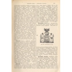Wielka Encyklopedya Powszechna Ilustrowana. [Seria 1]. T.25-26: Giersz - Grzybowski