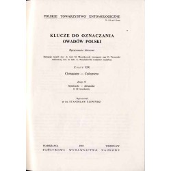 Klucze do oznaczania owadów Polski. Cz.19: Chrząszcze - Coleoptera. Z.57: Spichrzele - Silvanidae