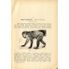 Podręcznik zoologji