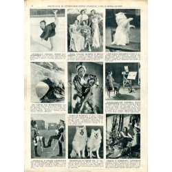 Ilustrowany Kurier Codzienny. Bezpłatny dodatek tygodniowy "Ilustrowanego Kuriera Codziennego" do nr 356. R.10 (1934). Nr 52 (53
