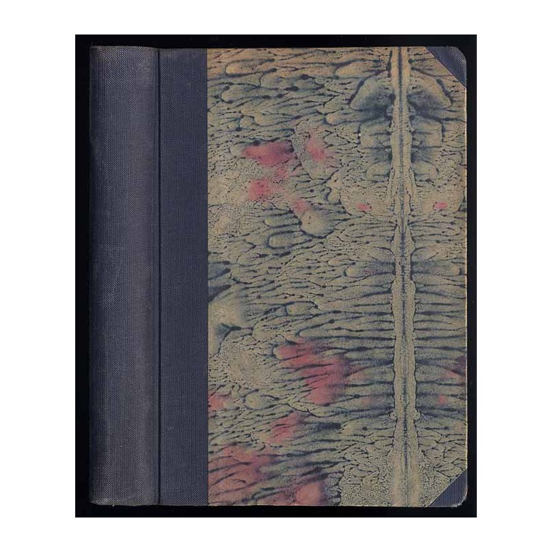 Gabinet nr 13. Powieść