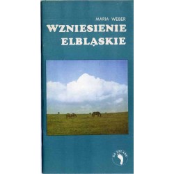 Wzniesienie Elbląskie