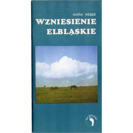 Wzniesienie Elbląskie
