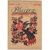 Bluszcz. Pismo tygodniowe ilustrowane dla kobiet. R.58 (1925). Nr 28 (11 lipca 1925)