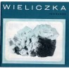Wieliczka. Przewodnik