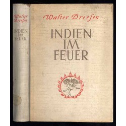 Indien im Feuer. Bericht einer Reise