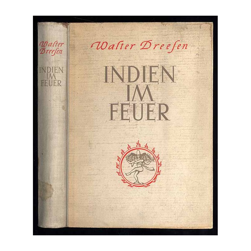 Indien im Feuer. Bericht einer Reise