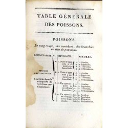 Histoire Naturelle des Poissons. T.4