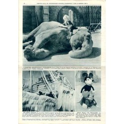Ilustrowany Kurier Codzienny. Bezpłatny dodatek tygodniowy "Ilustrowanego Kuriera Codziennego" do nr 350. R.9 (1933). Nr 51 (472