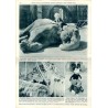 Ilustrowany Kurier Codzienny. Bezpłatny dodatek tygodniowy "Ilustrowanego Kuriera Codziennego" do nr 350. R.9 (1933). Nr 51 (472