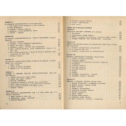 Rybnik. Zarys dziejów miasta od czasów najdawniejszych do 1980 roku