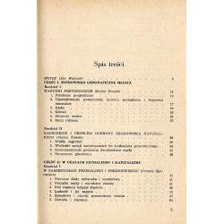 Rybnik. Zarys dziejów miasta od czasów najdawniejszych do 1980 roku
