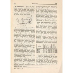Świat i Życie. T.3 (1935). Z. 6 (Czerwiec 1935)