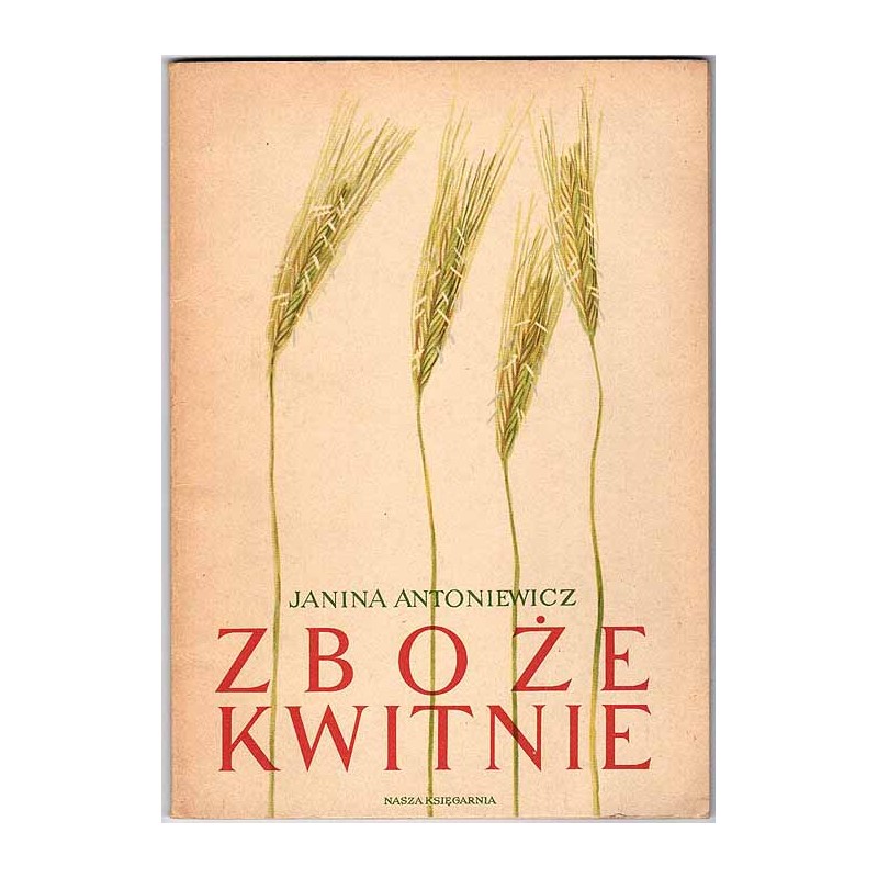 Zboże kwitnie