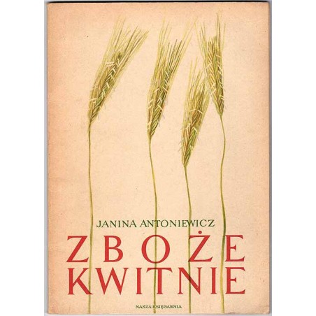 Zboże kwitnie