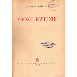 Zboże kwitnie