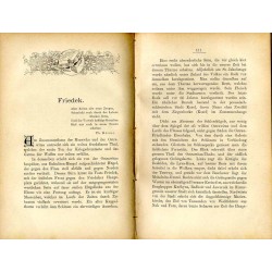 Burgen und Schlösser im Herzogthum Schlesien. Mit steter Bezugnahme auf die Orts-, Adels- und Landes-Geschichte [T. 2]. Neue Fol