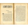 Burgen und Schlösser im Herzogthum Schlesien. Mit steter Bezugnahme auf die Orts-, Adels- und Landes-Geschichte [T. 2]. Neue Fol