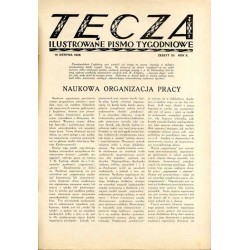 Tęcza. Ilustrowane pismo tygodniowe. R.2 (1928). Z. 33 (18 sierpnia 1928) / (Bolesław?) Rogiński / Ruiny zamku w Siewierzu / Zbi