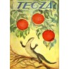 Tęcza. Ilustrowane pismo tygodniowe. R. 2 (1928). Z. 43 (27 października 1928) / Franciszek Siedlecki / Lew Tołstoj / Płock / An