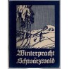Winterpracht im Schwarzwald