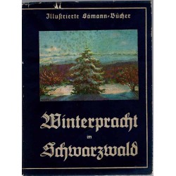 Winterpracht im Schwarzwald